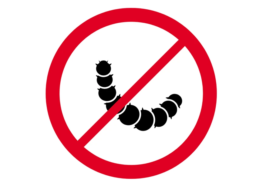 control de carcoma de la madera