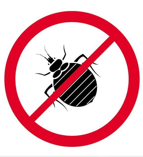 control de plagas chinches