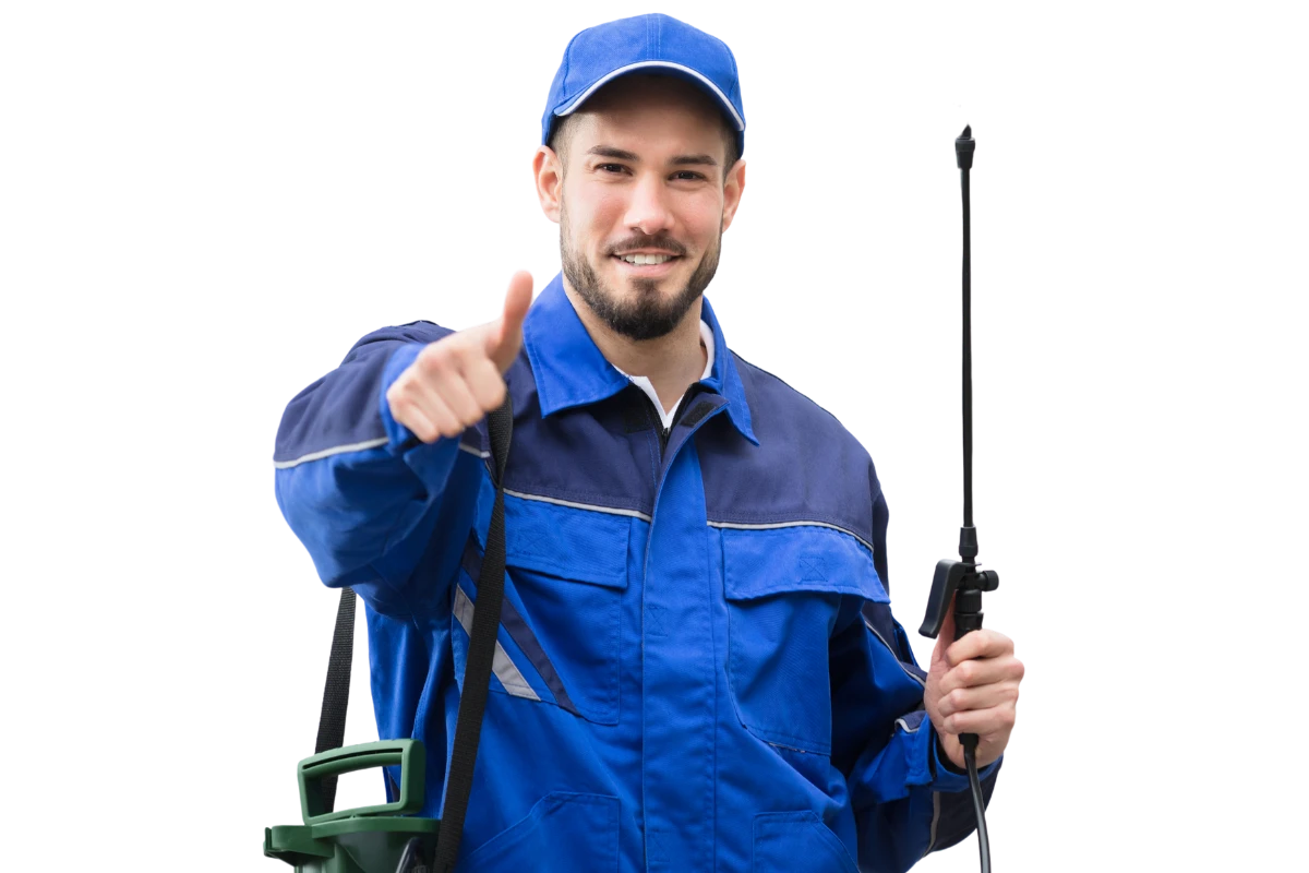 miembro del equipo de control de plagas la coruña